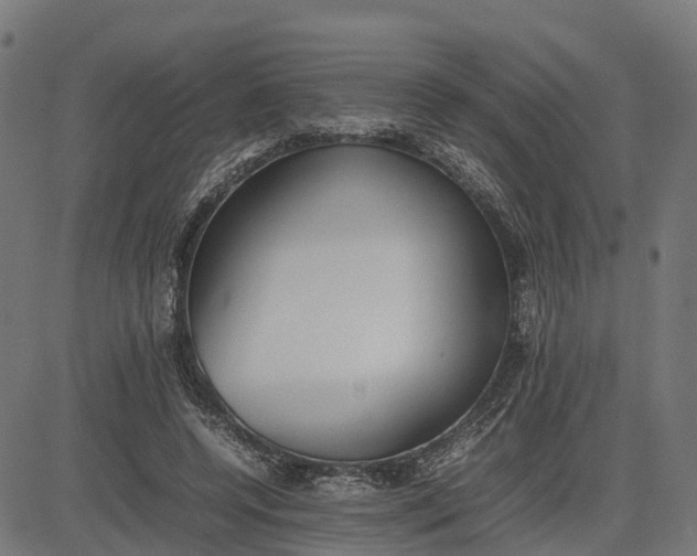 X0000082690544200702091700