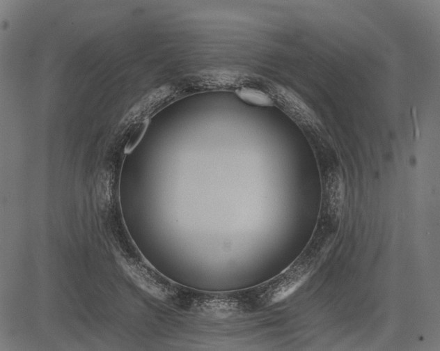 X0000082690546200702091700