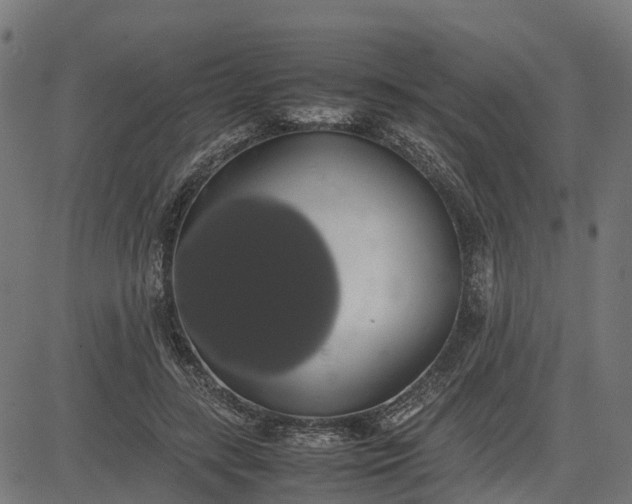 X0000082690547200702091700