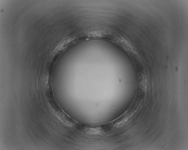 X0000082690548200702091700