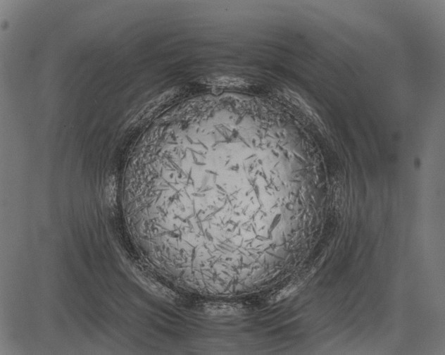 X0000082690549200702091700