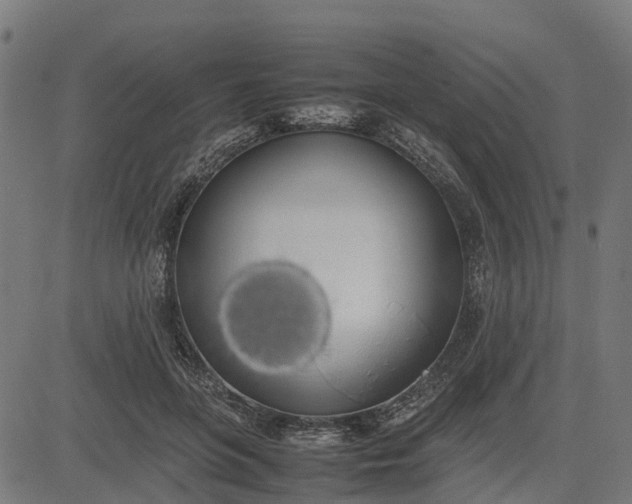 X0000082690551200702091700