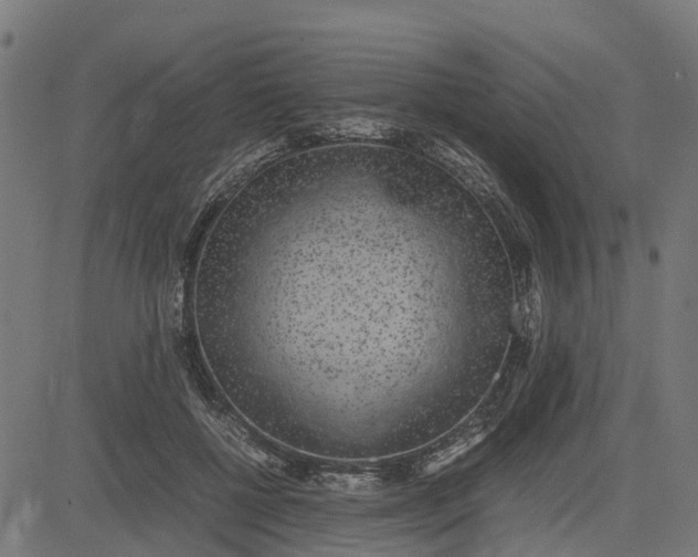 X0000082690552200702091700