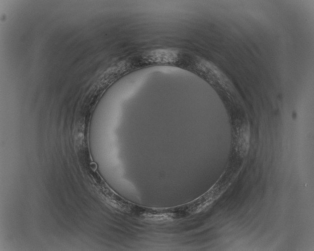 X0000082690553200702091700