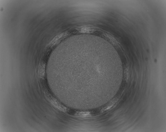 X0000082690554200702091700