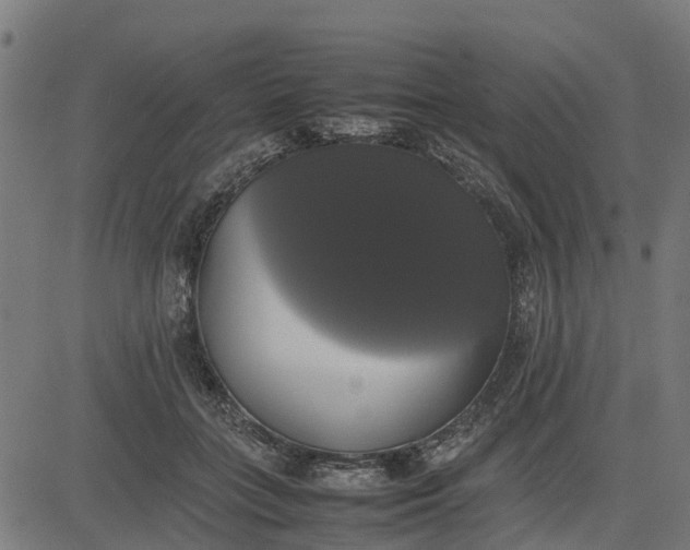 X0000082690555200702091700