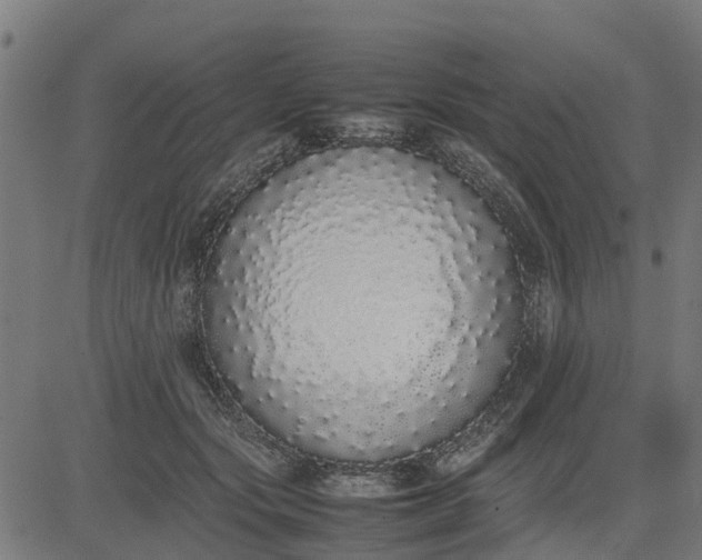 X0000082690557200702091700