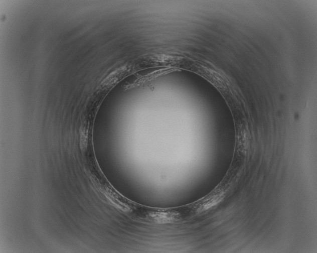 X0000082690558200702091700