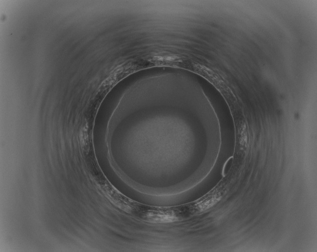 X0000082690559200702091700