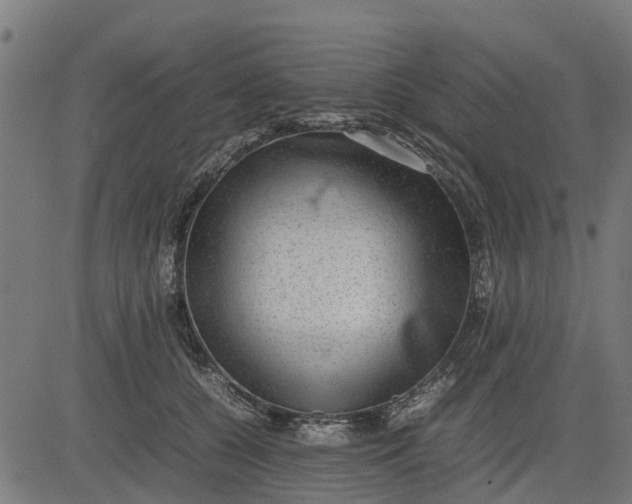 X0000082690560200702091700