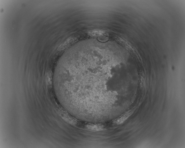 X0000082690561200702091700