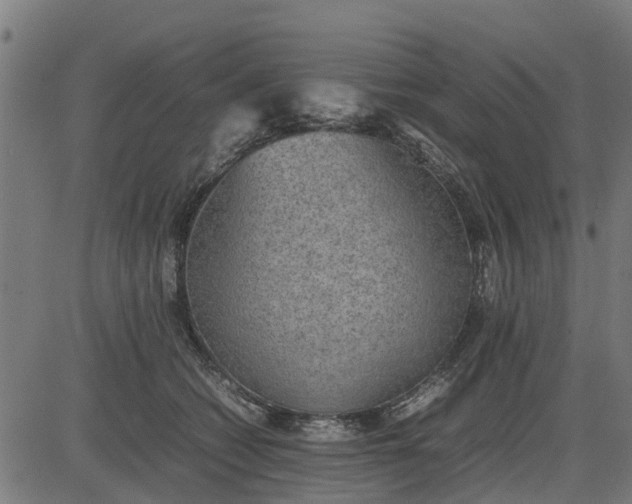 X0000082690562200702091700