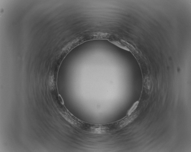 X0000082690564200702091700