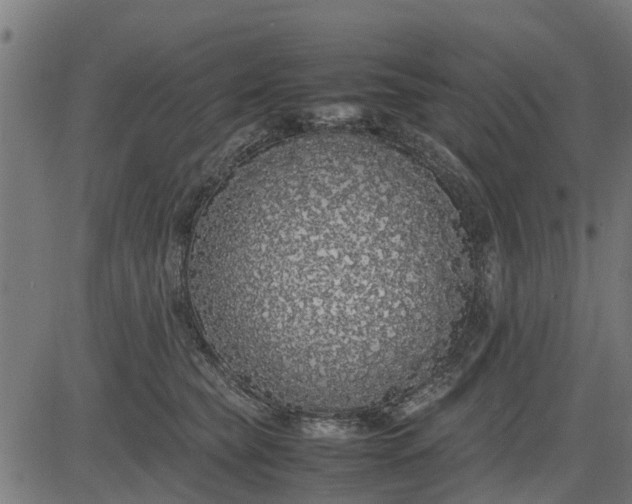 X0000082690565200702091700