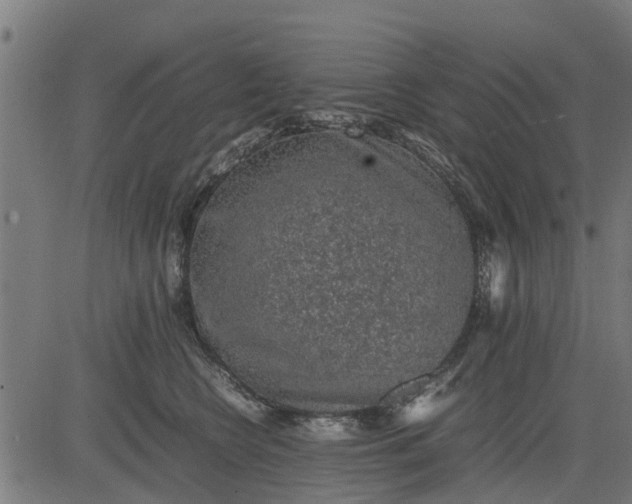 X0000082690566200702091700