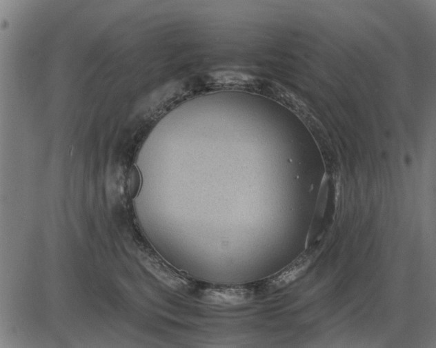 X0000082690567200702091700