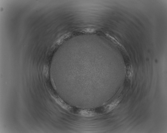 X0000082690568200702091700