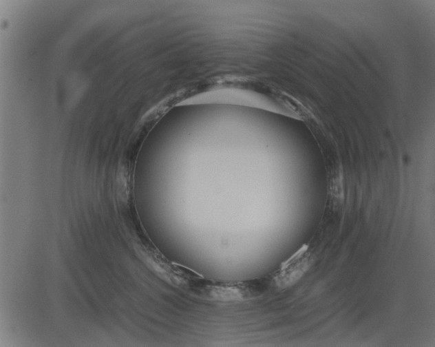 X0000082690572200702091700