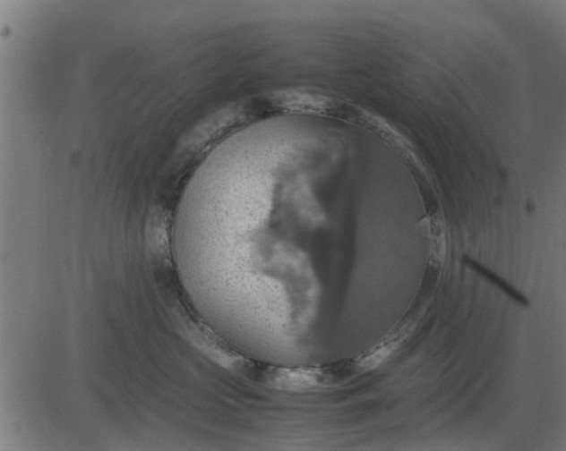 X0000082690573200702091700