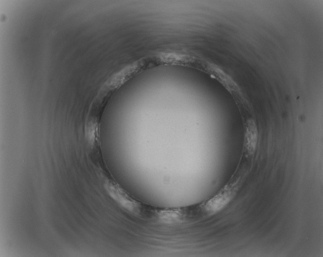 X0000082690574200702091700