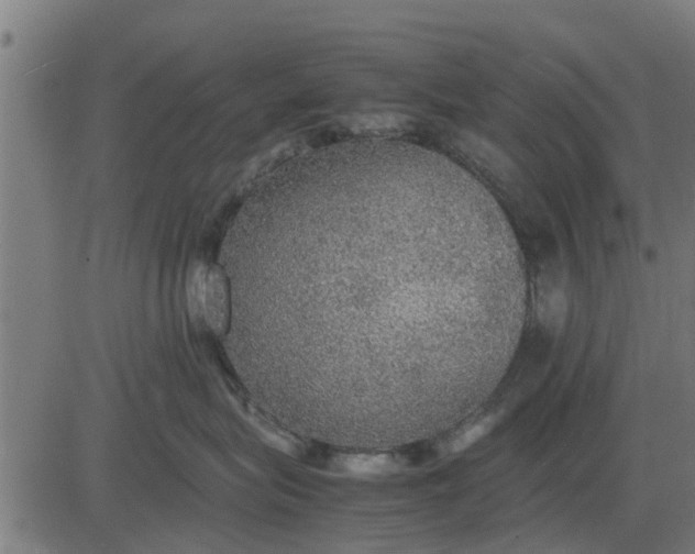 X0000082690575200702091700