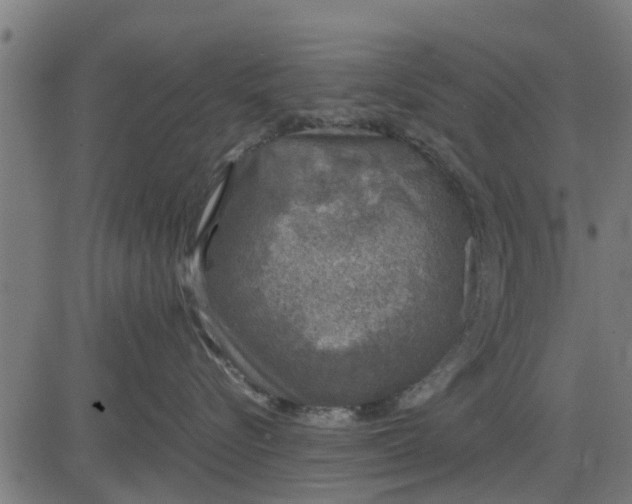 X0000082690576200702091700