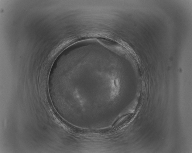 X0000082690577200702091659