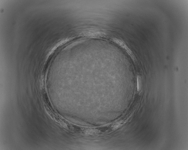 X0000082690579200702091659