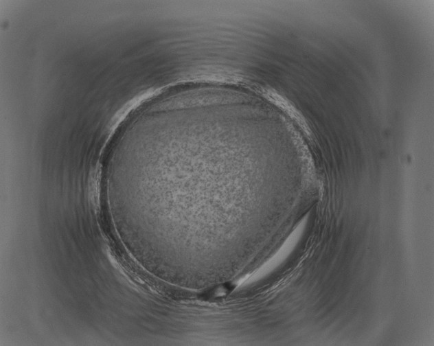 X0000082690580200702091659