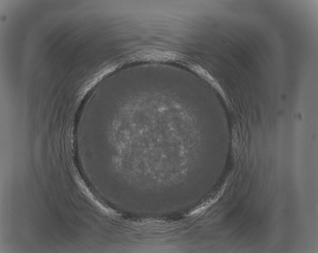 X0000082690581200702091659