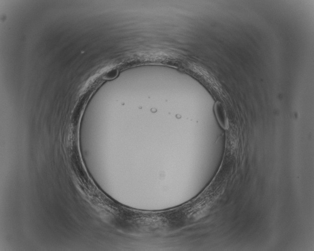 X0000082690583200702091659