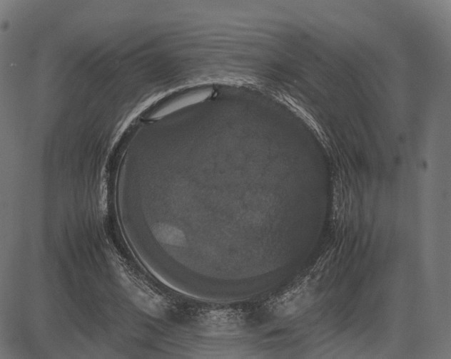 X0000082690584200702091659