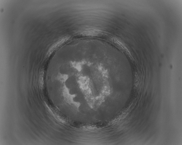 X0000082690586200702091659