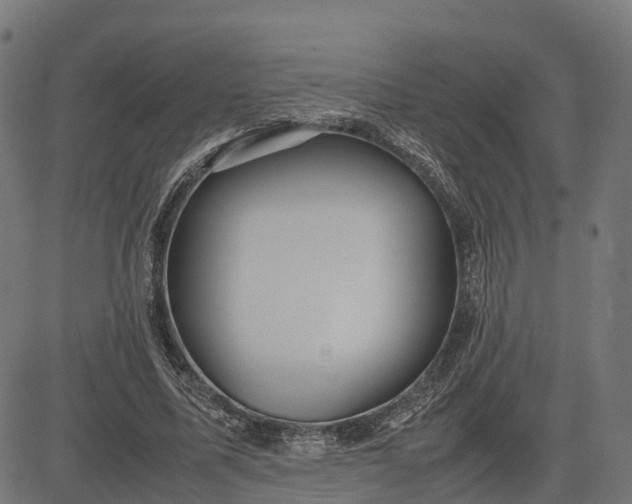 X0000082690587200702091659