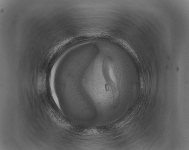 X0000082690588200702091659