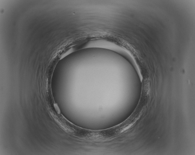 X0000082690589200702091659