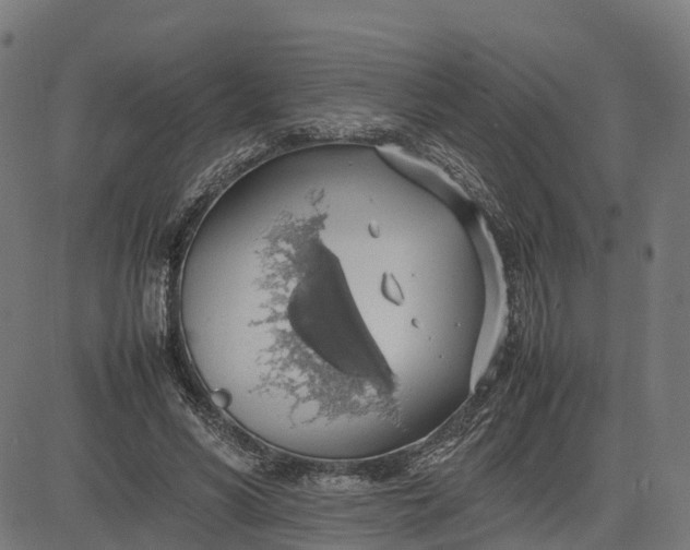 X0000082690590200702091659