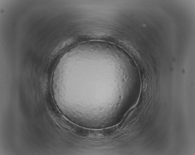 X0000082690591200702091659