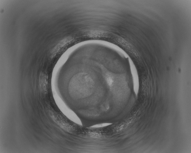 X0000082690592200702091659