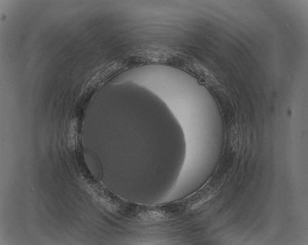 X0000082690594200702091659