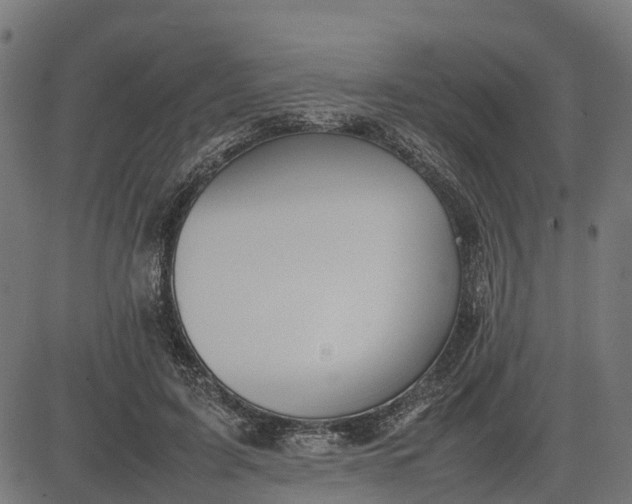 X0000082690595200702091659