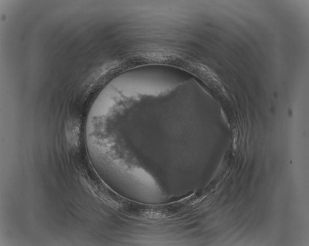 X0000082690596200702091659