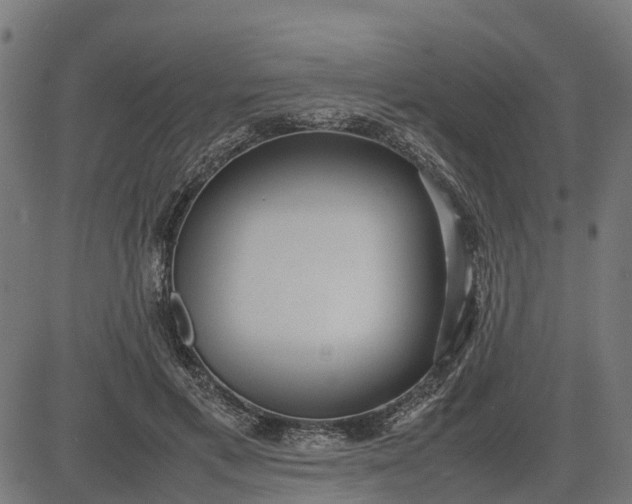 X0000082690597200702091659