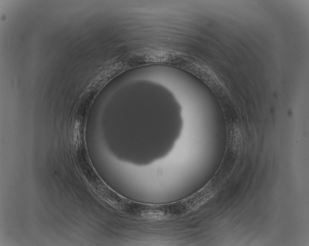 X0000082690598200702091659