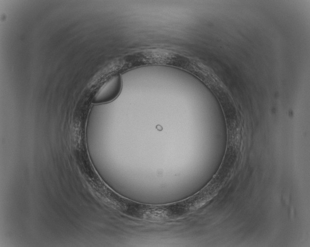 X0000082690599200702091659