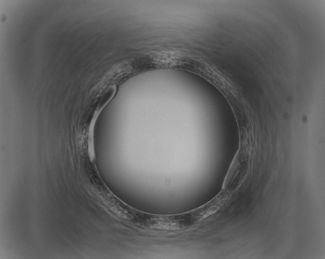 X0000082690601200702091659