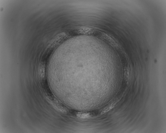 X0000082690602200702091659