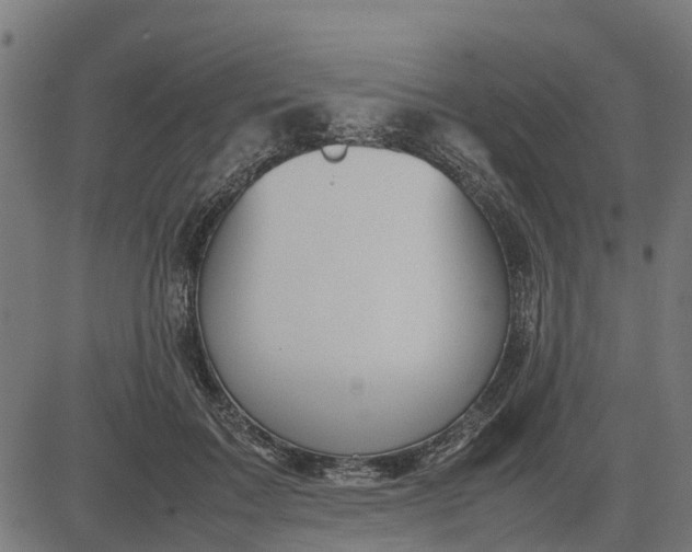 X0000082690603200702091659