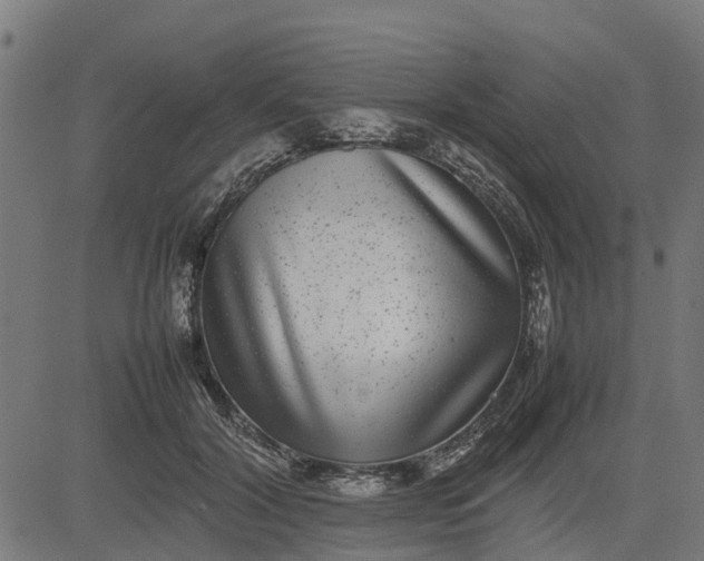 X0000082690604200702091659