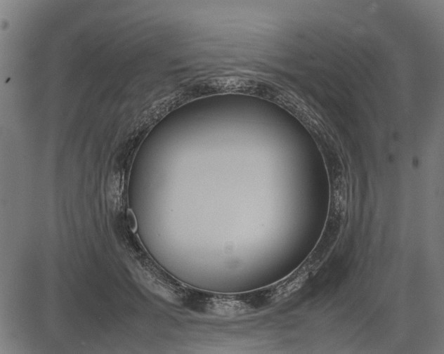 X0000082690605200702091659